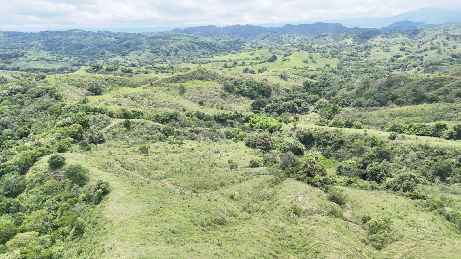 Finca de la Fundación